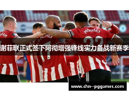 谢菲联正式签下阿彻增强锋线实力备战新赛季