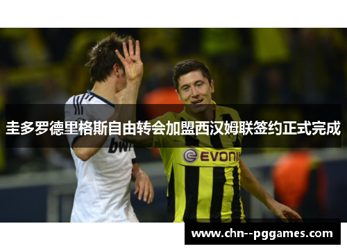 圭多罗德里格斯自由转会加盟西汉姆联签约正式完成